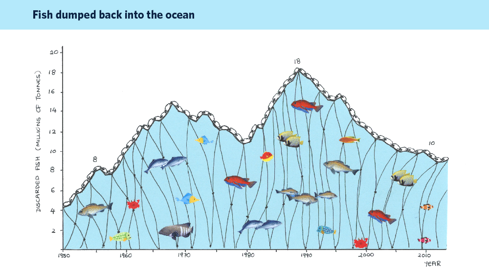 ocean fish population graph
